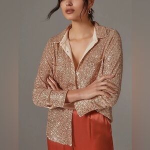 Anthropologie Top SUNDAY IN BROOKLYN Rose SEQUIN BUTTONDOWN Lined Blouse